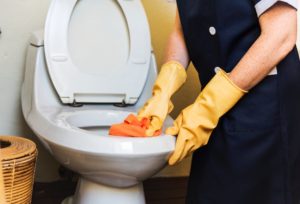how to clean a toilet