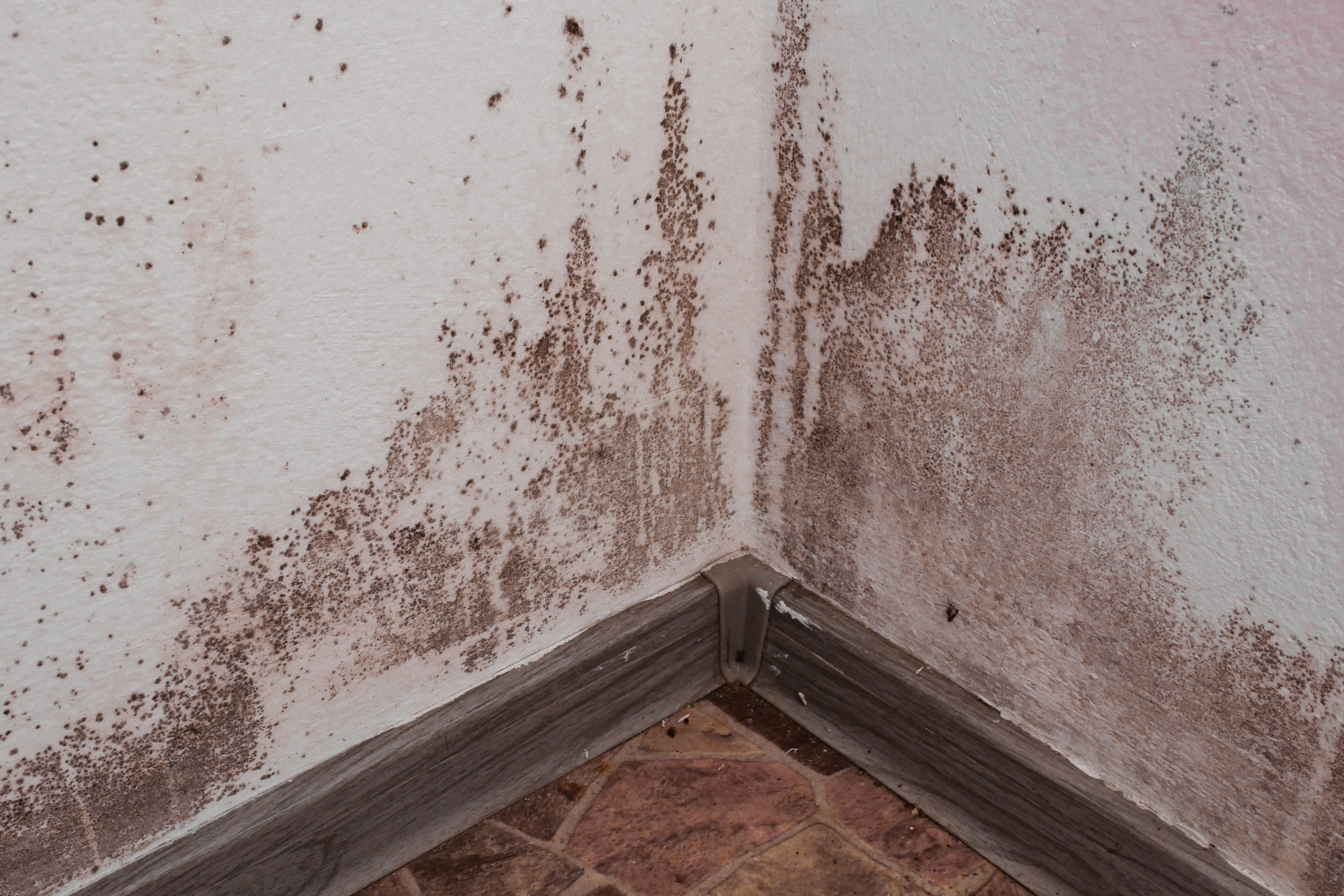 6 Tips For Preventing Mold And Mildew From Growing In Your Home