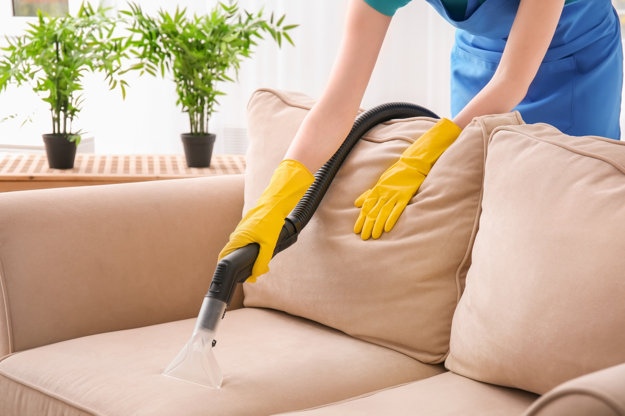 how to clean a smelly couch