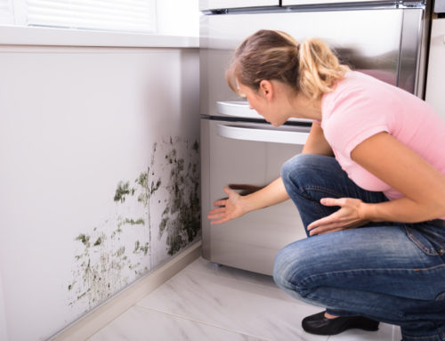Why You Should Be Cleaning the Walls in Your Home